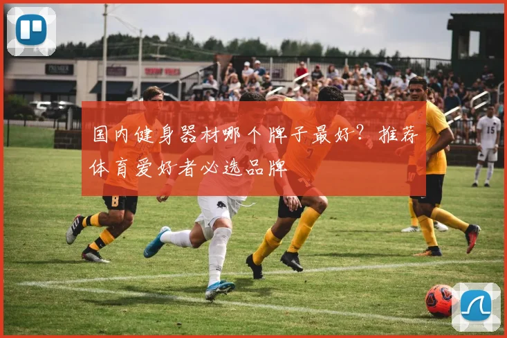 国内健身器材哪个牌子最好？推荐体育爱好者必选品牌