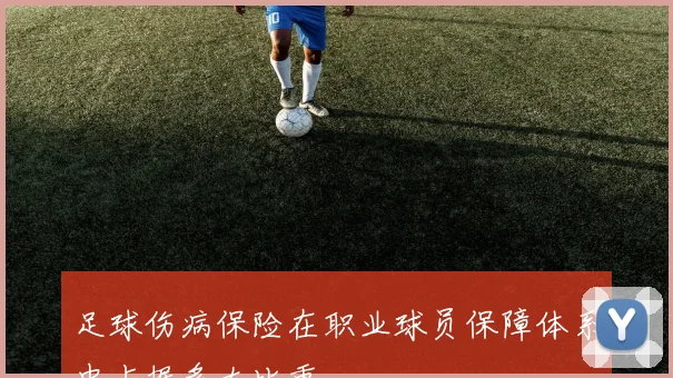 足球伤病保险在职业球员保障体系中占据多大比重
