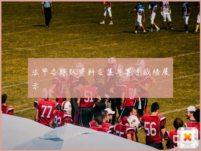 法甲各球队资料合集与赛季战绩展示