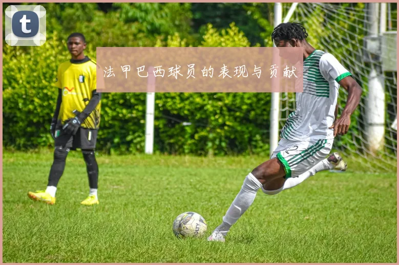 法甲巴西球员的表现与贡献
